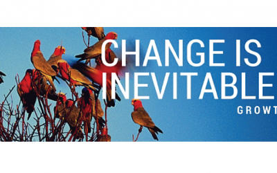 July Newsletter
