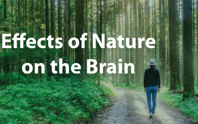 Effects of Nature on the Brain